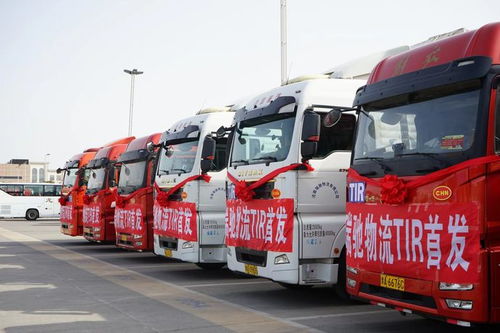 tir運(yùn)輸進(jìn)入新時代 全國首單tir大件貨物從鄭州航空港區(qū)發(fā)車
